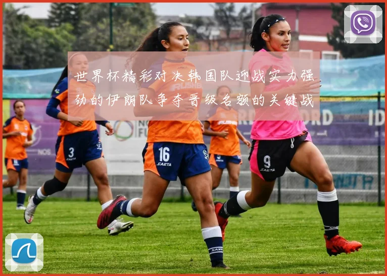 世界杯精彩对决韩国队迎战实力强劲的伊朗队争夺晋级名额的关键战役
